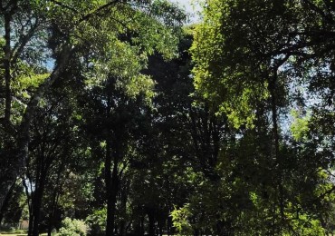 LOTE EXCEPCIONAL UBICACION VILLA SAN LORENZO